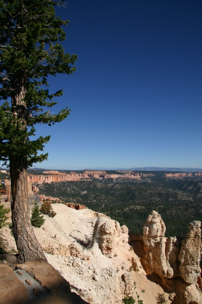 06 - Bryce Canyon NP (3).jpg